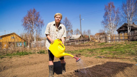 Путин подписал закон о сокращенном рабочем дне для сельских женщин